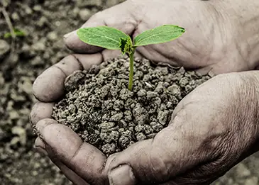 Green india clean India (Apr 2017)