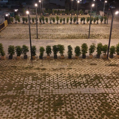 Saya South X - Interior