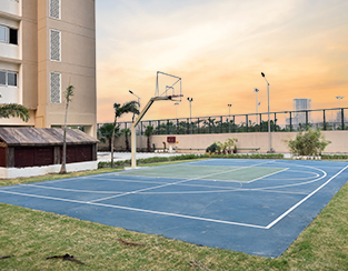 Basketball Court at Saya Zion - Buy 2/3/4 BHK Flats in Noida Extension, Delhi NCR